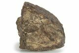 Chondrite Meteorite ( grams) - Western Sahara Desert #232933-1